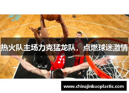 热火队主场力克猛龙队，点燃球迷激情