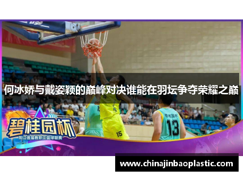 何冰娇与戴姿颖的巅峰对决谁能在羽坛争夺荣耀之巅
